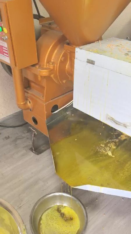 大豆冷軋螺旋榨油機(jī)